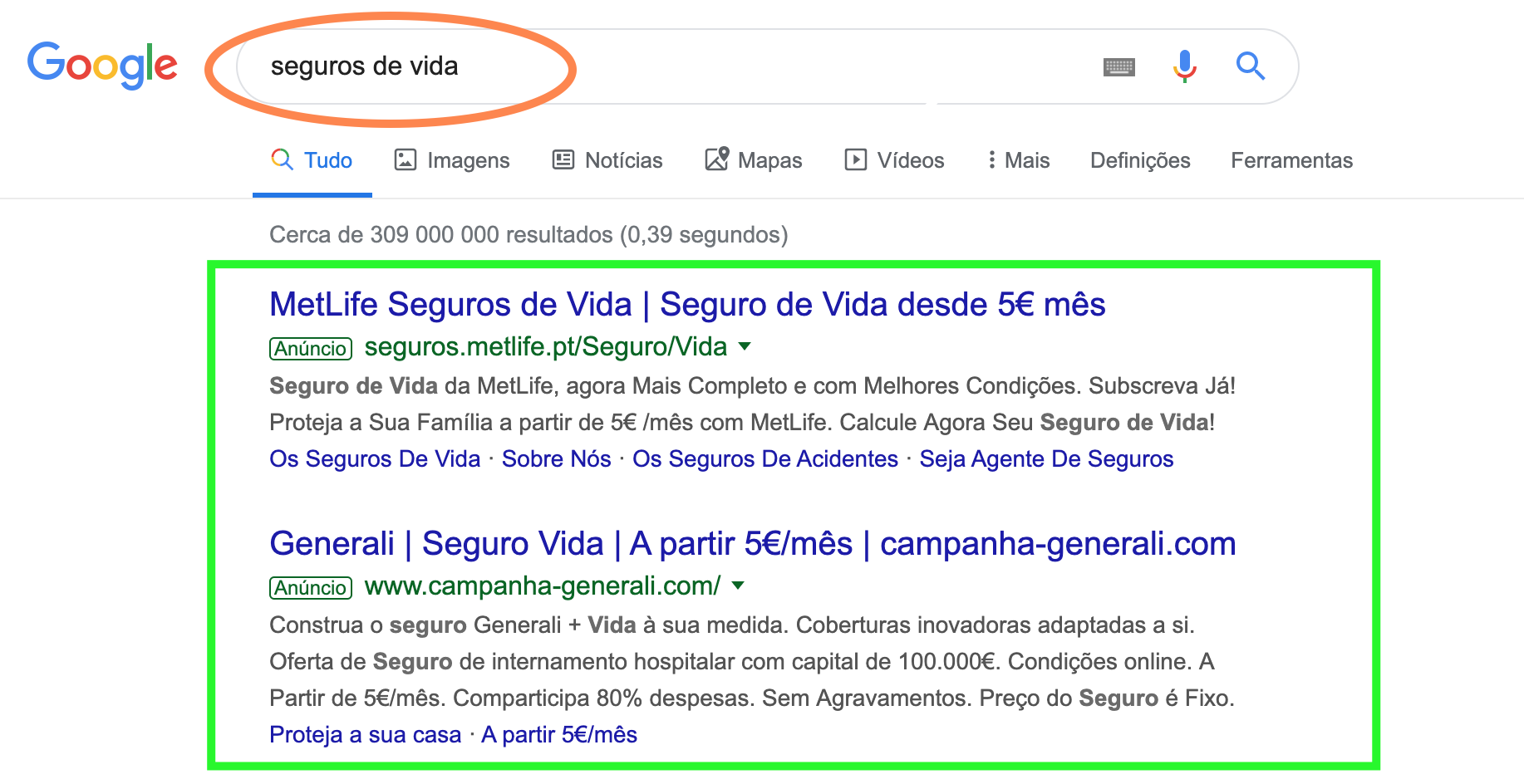 Google Ads - geração de leads